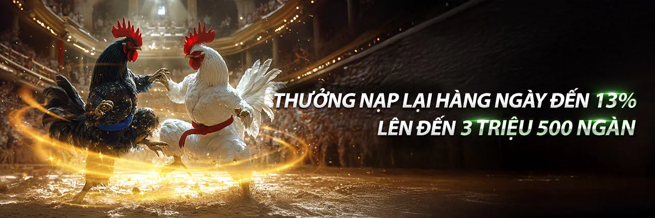 Sòng bạc trực tuyến Betvision Casino với nhiều trò chơi hấp dẫn