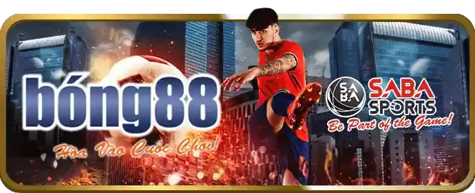 Quản lý tài khoản betvision casino